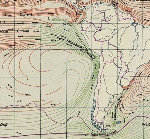 Rompiendo el Mito de Comparar a Chile con California: Por qué los incendios forestales en Chile no son normales